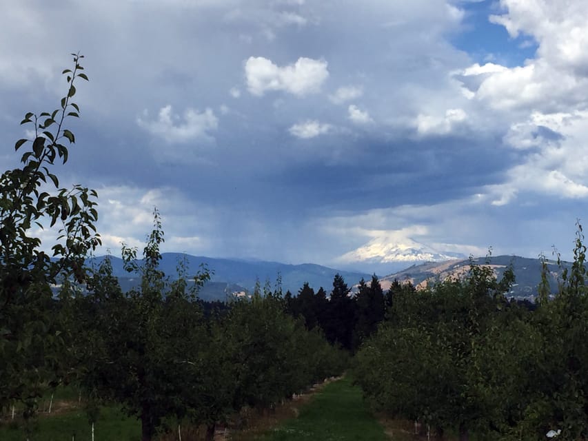 From Portland: Mt Hood, Hood River Valley and Columbia Gorge – Mt. Hood National Forest, Oregon