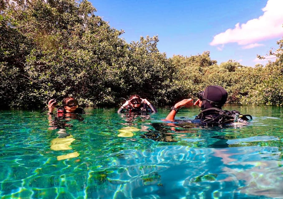 From Puerto Morelos: Ocean Reef Snorkeling – Puerto Morelos, Mexico