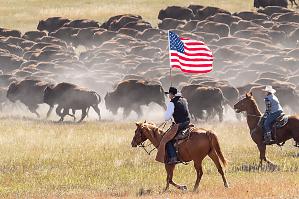 From Rapid City: Custer State Park Buffalo Roundup Tour – Custer, South Dakota