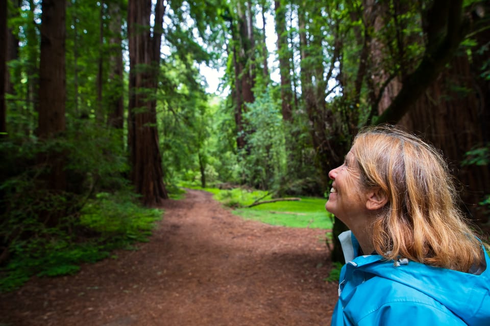 From San Francisco: Muir Woods Redwood Forest Tour – San Francisco, California