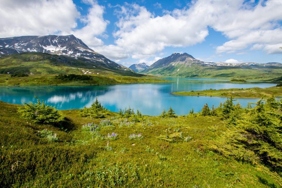 From Seward: Hidden Trail on Seward Hike – Alaska, Alaska