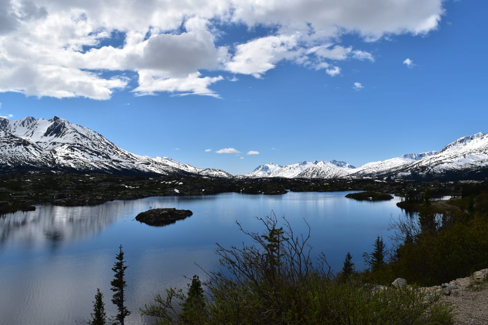 From Skagway: White Pass Summit Guided Bus Tour – Alaska, Alaska