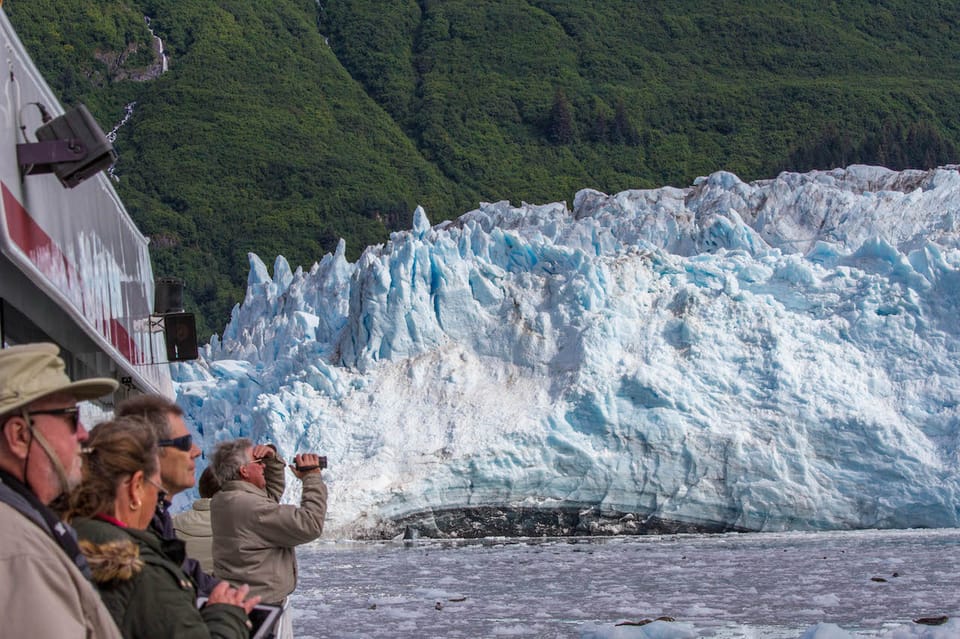 From Valdez: 7.5-hour Meares Glacier & Wildlife Cruise – Alaska, Alaska