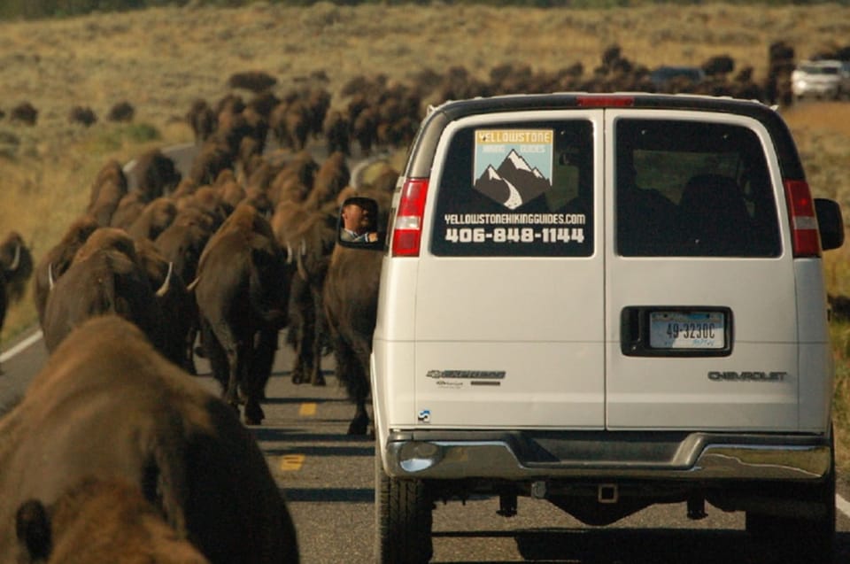 From West Yellowstone: Lamar Valley Wildlife Tour by Van – Yellowstone Caldera, Wyoming