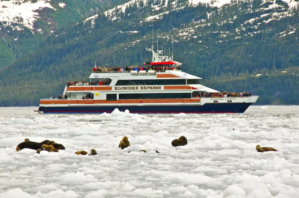 From Whittier/Anchorage: Prince William Sound Glacier Cruise – Alaska, Alaska