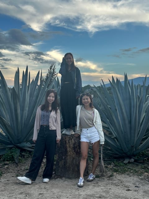 Full-day tour of Oaxaca Zapotec zone, Hierve el Agua and Mezcal. – Hierve el Agua, Mexico