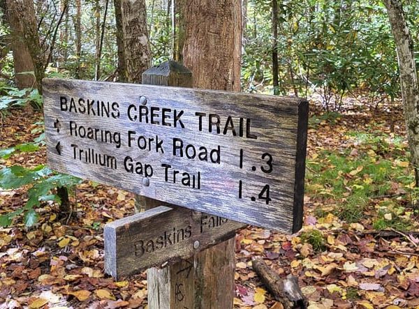 Gatlinburg: Great Smoky Mts National Park Waterfall Tour – Great Smoky Mountains National Park, Tennessee