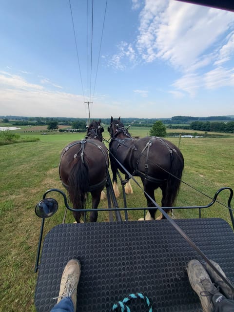 Gettysburg: Horse-Drawn Carriage Tour Countryside & Orchards – Silvershire Farm, Pennsylvania