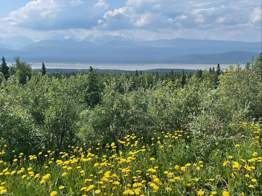 Glacial Lake, Waterfall and rainforest. Beauty of Turnagain! – Anchorage, Alaska