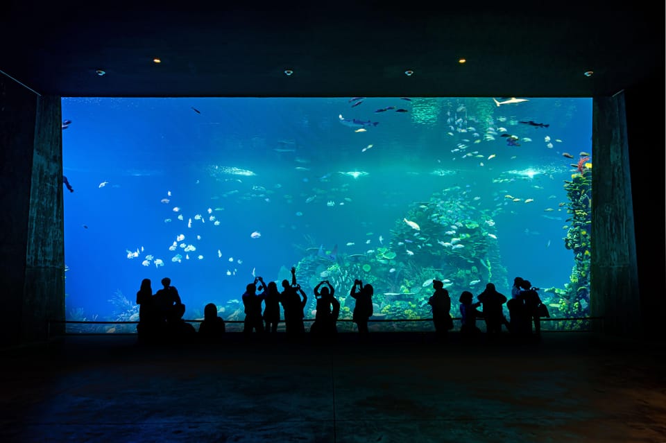 Gran Acuario Mazatlan – Mazatlan, Mexico