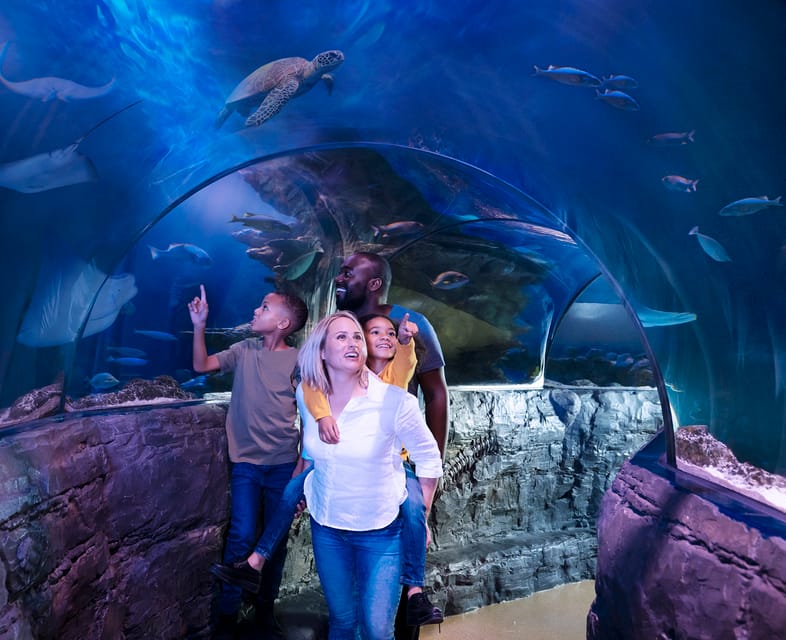 Grapevine: SEA LIFE Grapevine Aquarium General Admission – Grapevine, Texas