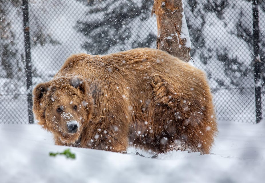 Great Plains Zoo – Sioux Falls, South Dakota