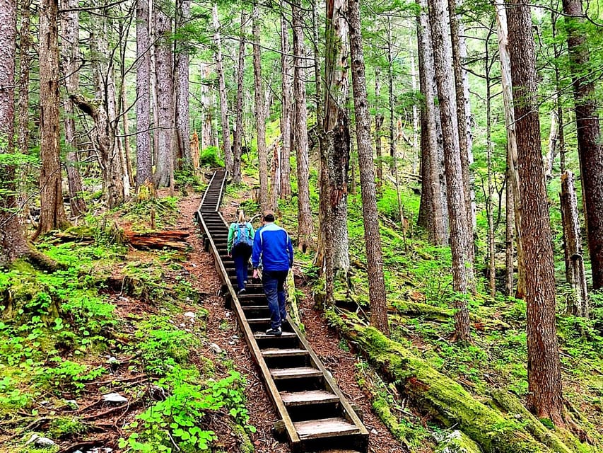 Guided Hike | TONGASS NATIONAL FOREST – Juneau City, Alaska