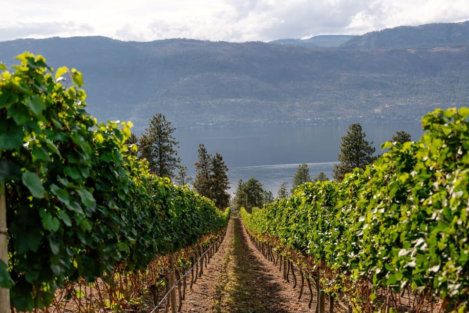 Half-Day Lake Country Wine Tour – Kelowna, Canada