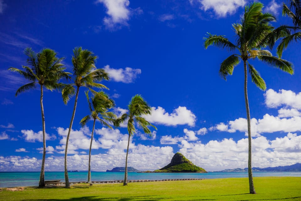 Hidden Gems of Oahu Circle Island Tour with Byodo-In Temple – Hawaii, Hawaii