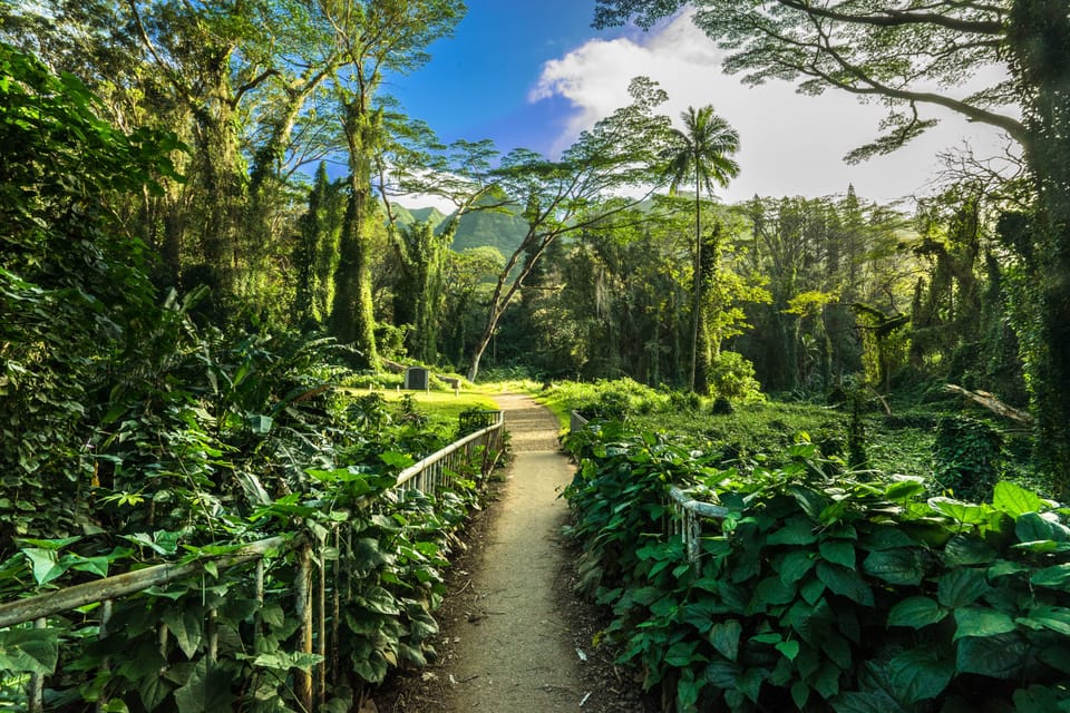 Hike Trail to Waterfall & Nature Walk – Honolulu, Hawaii