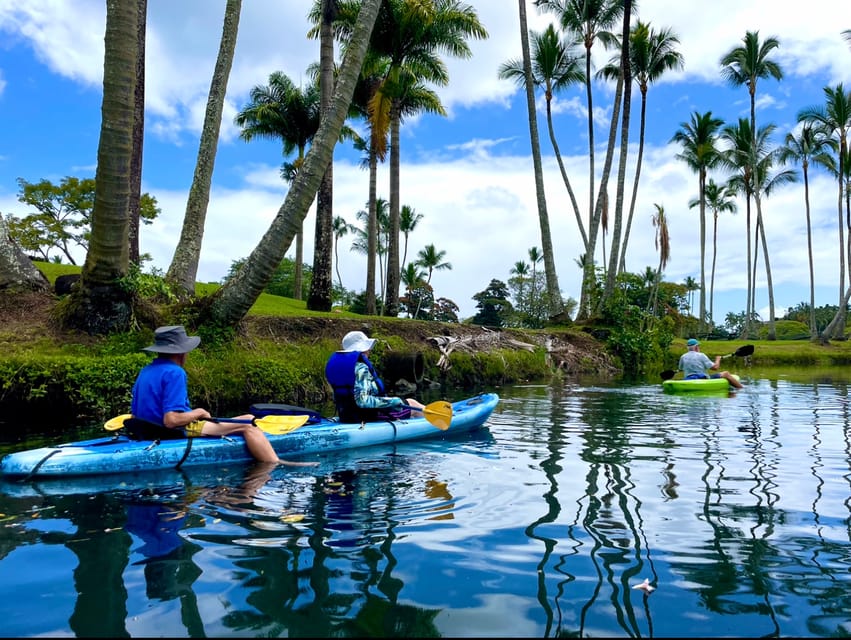 Hilo: Wailoa River to King Kamehameha Guided Kayaking Tour – Hawaii, Hawaii