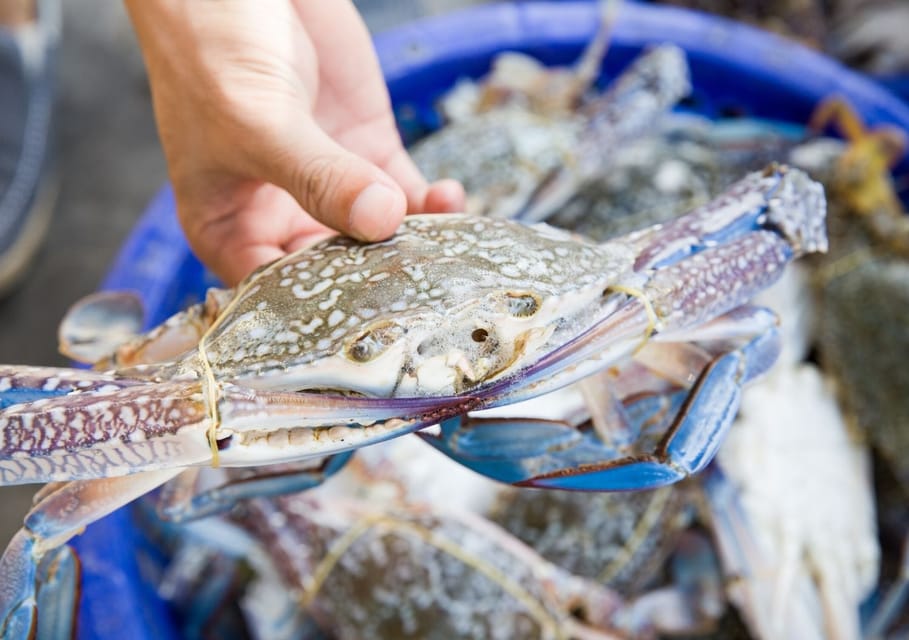 Hilton Head Island: Crabbing Expedition Boat Tour – Hilton Head Island, South Carolina