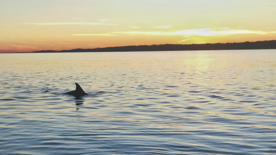 Hilton Head Island: Dolphin Watching 3-Course Dinner Cruise – Hilton Head Island, South Carolina