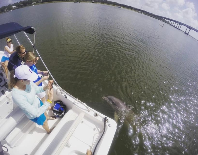 Hilton Head Island: Private Dolphin Watching Boat Tour – Hilton Head Island, South Carolina