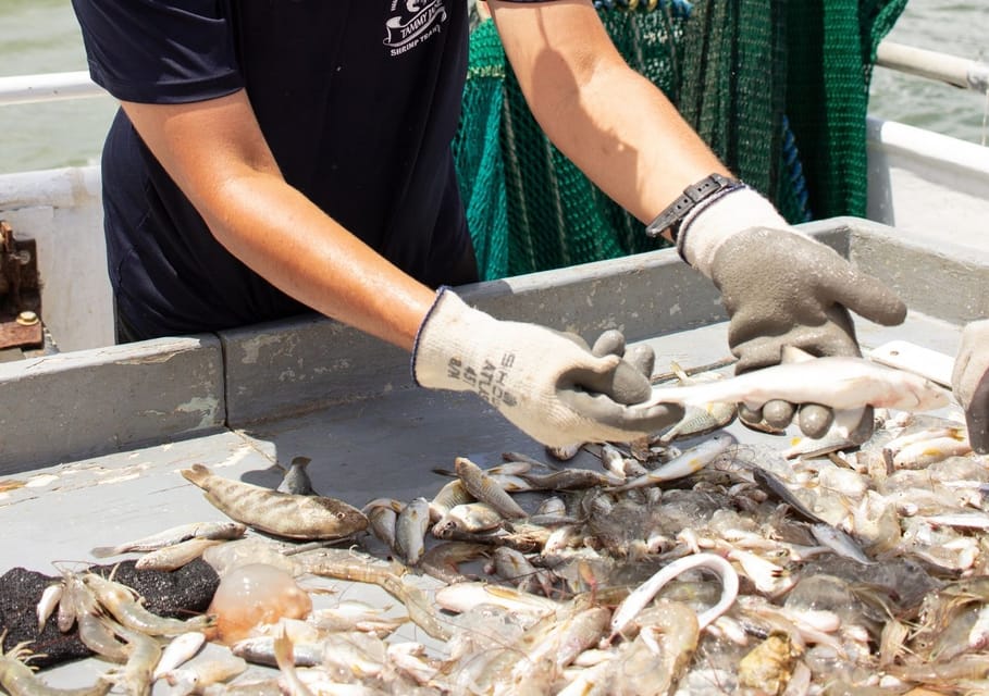 Hilton Head Island: Shrimp Trawling Boat Tour – Hilton Head Island, South Carolina