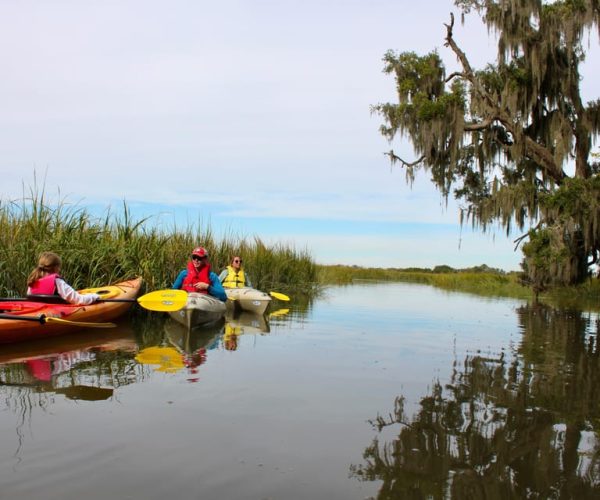 Hilton Head: Private Outback Kayak Tour – Hilton Head Island, South Carolina