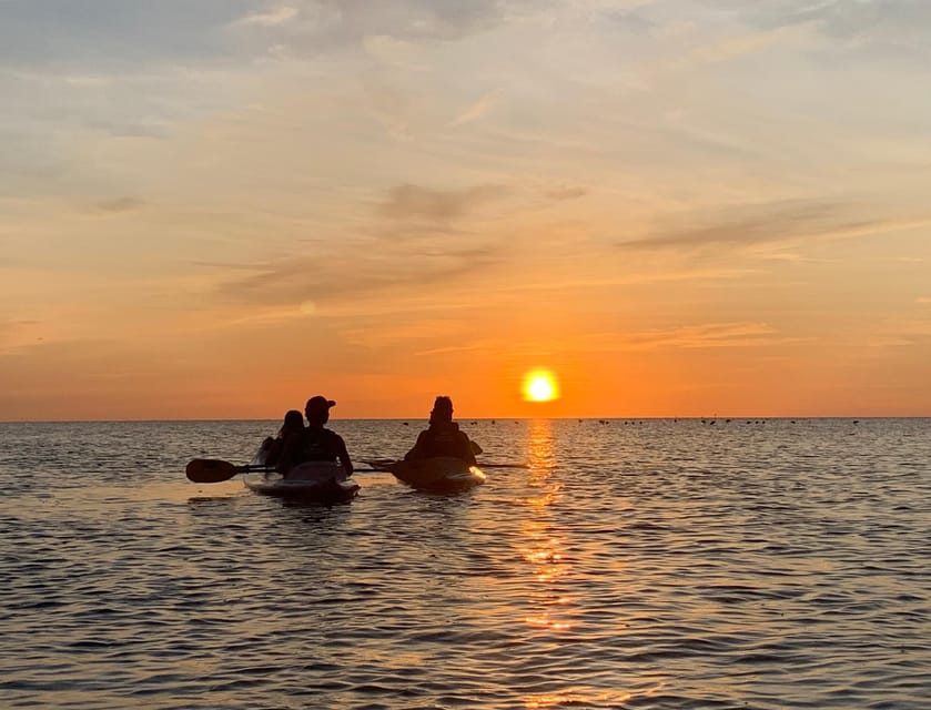 Holbox: Mangrove Sunset Kayak Tour – Holbox, Mexico