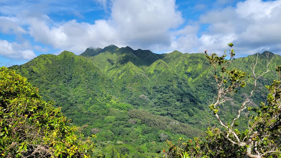 Honolulu: Hawaiian Volcanic Rainforest Hike – Hawaii, Hawaii