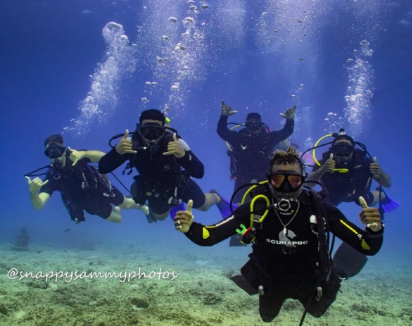 Honolulu: Scuba Diving for Certified Divers – Honolulu, Hawaii