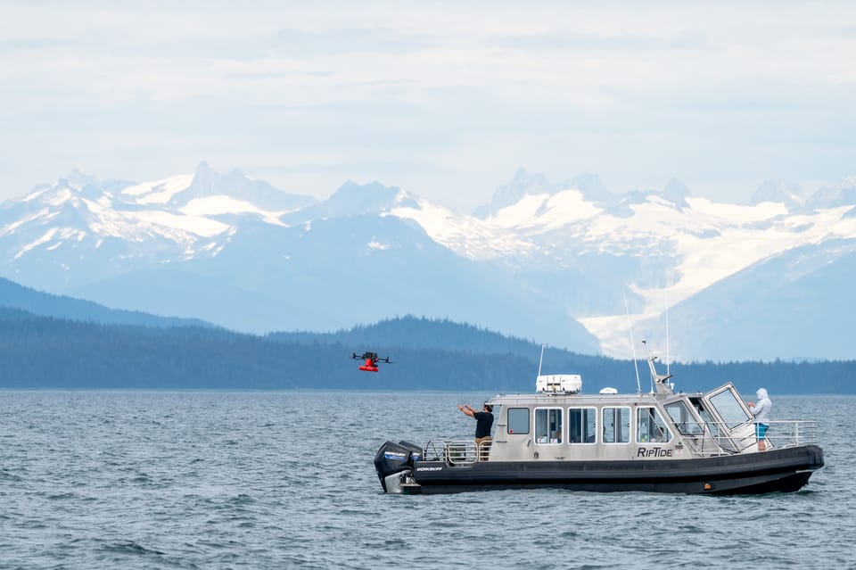 Hoonah: Icy Strait Whale Watch with Drone Filmography – Alaska, Alaska