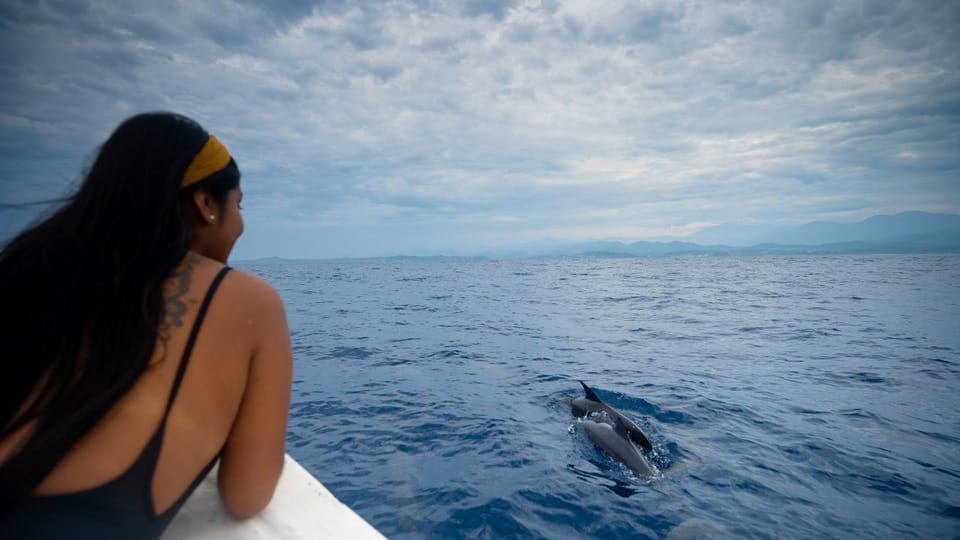 Huatulco: Awakening with Stars Dolphins Boat Cruise – Huatulco, Mexico