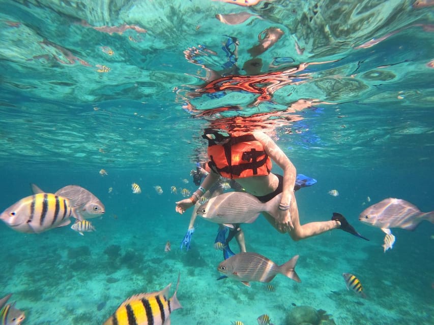 Isla Mujeres: Snorkeling Adventure at the Underwater Museum – Cancún, Mexico