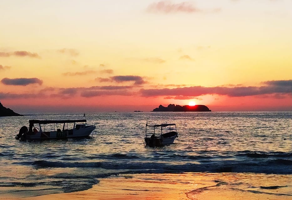 Ixtapa: Marine Life Exploration – Ixtapa, Mexico