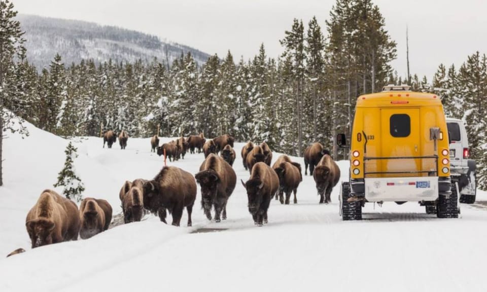 Jackson: 4-Day Grand Teton & Yellowstone Winter Tour – Jackson, Wyoming