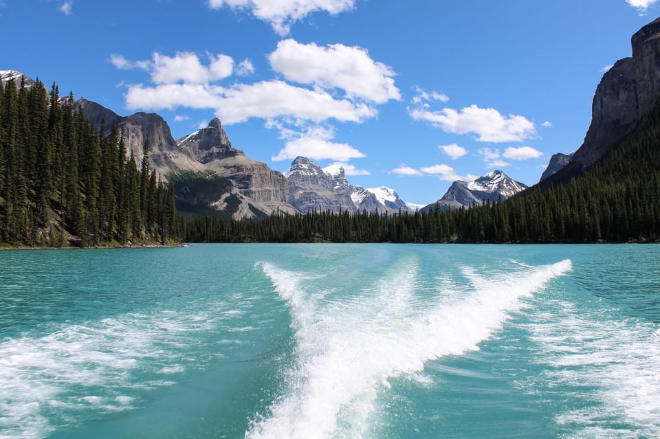 Jasper: Maligne Valley Wildlife Watching & Boat Tour – Jasper, Canada