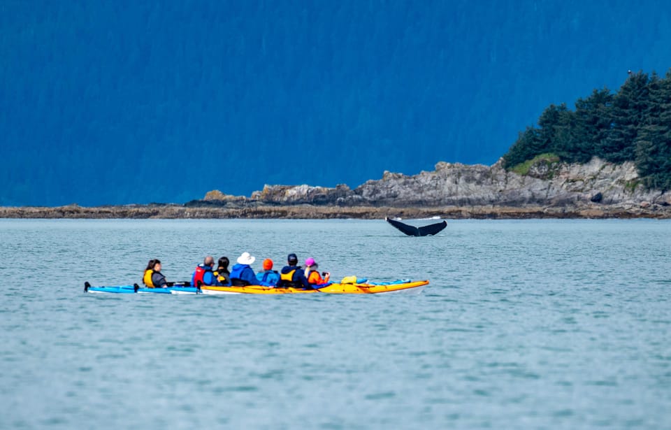 Juneau: Paddle with Whales Kayak Adventure – Juneau City, Alaska