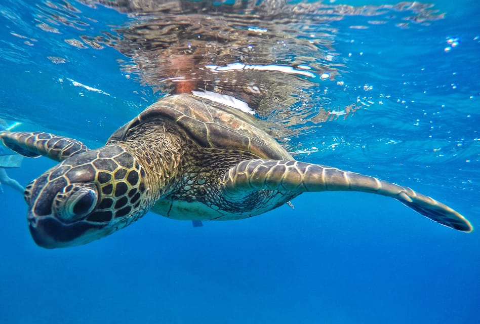 Ka’anapali Beach: Express Snorkel Trip – Lahaina, Hawaii