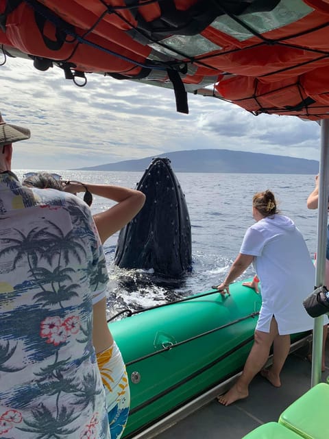 Ka’anapali: Whale Watching Boat Tour – Kaanapali, Hawaii