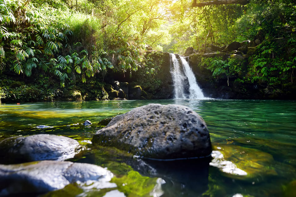 Kahului: Guided Rainforest and Waterfall Walk – Kahului, Hawaii