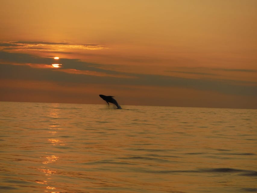 Kailua-Kona: Dolphin Watch & Double-Reef Snorkel Tour – Kailua-Kona, Hawaii