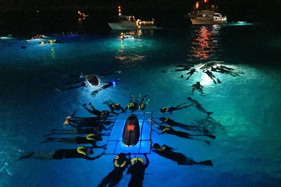 Kailua Kona: Night Manta Ray Adventure on the Big Island – Kailua-Kona, Hawaii