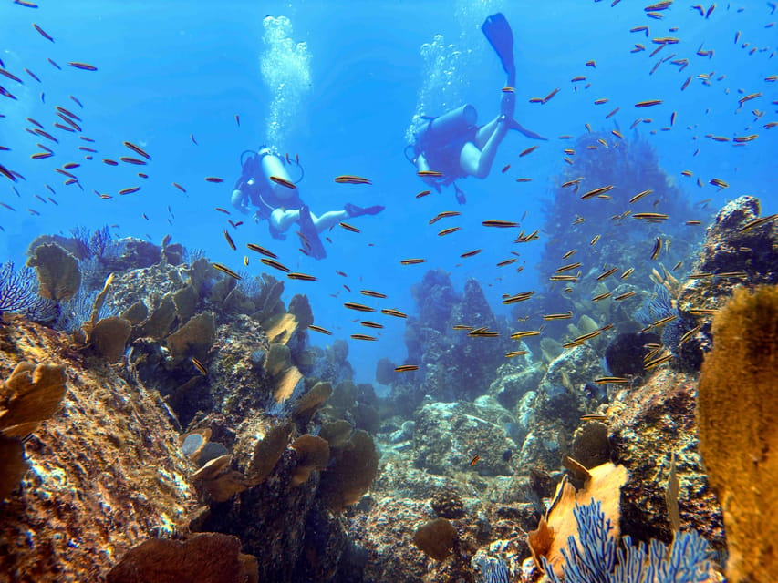 Kauai: 2 Tank Afternoon Dive – Hawaii, Hawaii