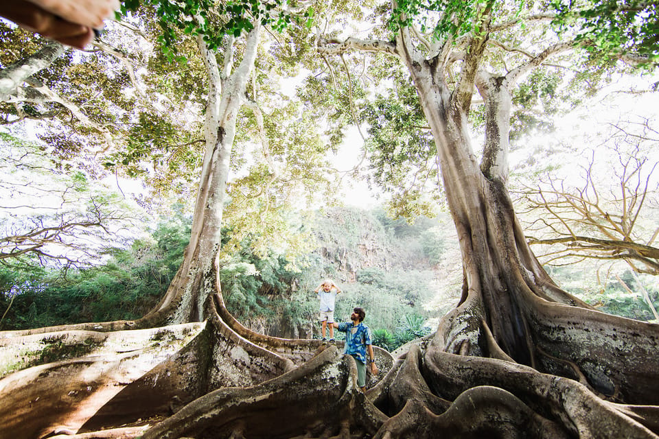 Kauai: Allerton Garden Guided Group Walking Tour – Poipu, Hawaii