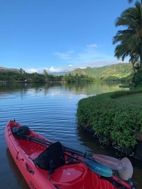 Kauai: Kayak Rental Wailua River with Secret Falls Hike – Hawaii, Hawaii