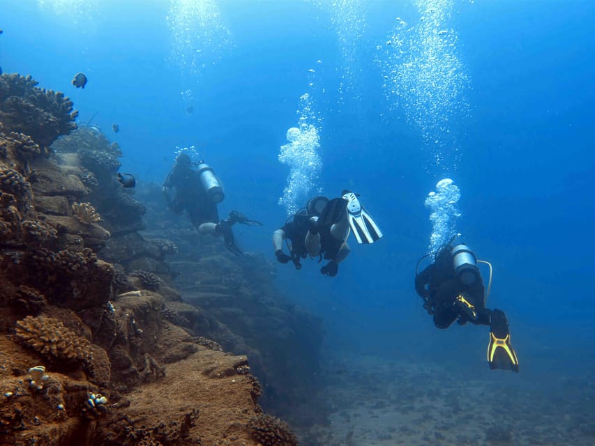 Kauai: Morning 2 Tank Boat Dive for Experienced Divers – Poipu, Hawaii