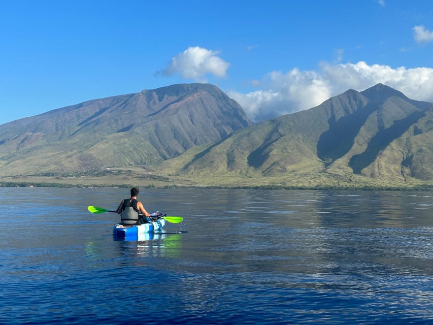 Kayak, Whale Watch And Snorkel At Turtle Town – Lahaina, Hawaii