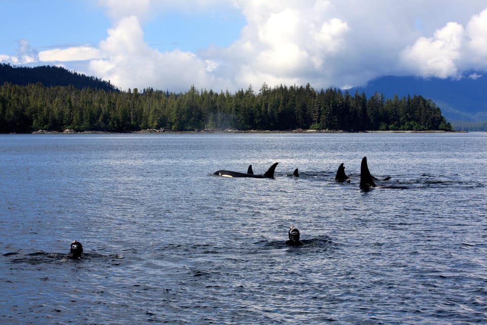 Ketchikan, Alaska: The Mountain Point Snorkeling Adventure – Ketchikan, Alaska