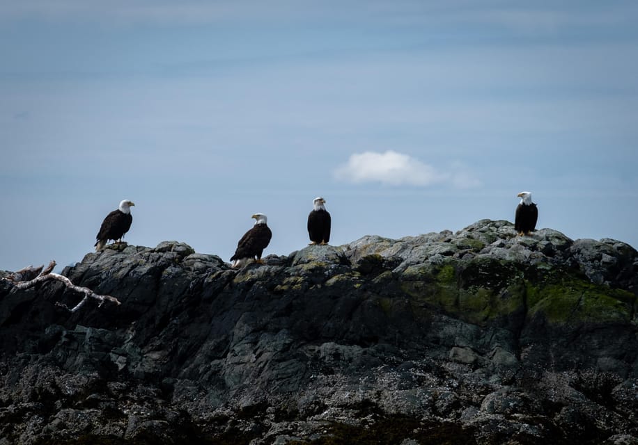 Ketchikan: Lighthouse, Totems & Eagles Excursion – Alaska, Alaska