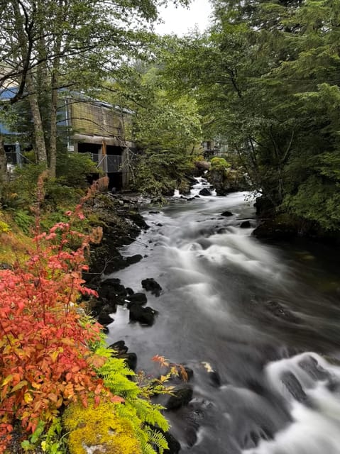 Ketchikan Photo Safari – Ketchikan, Alaska