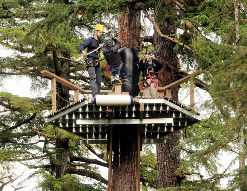 Ketchikan: Rainforest Canopy & Zipline Adventure – Ketchikan, Alaska